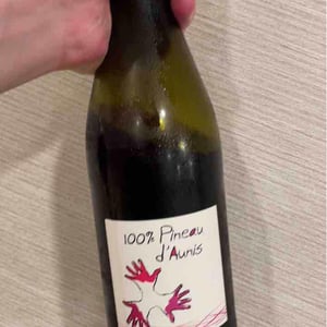 Les Grandes Vignes - Laurence, Dominique & Jean-François Vaillant - 100% Pineau d'Aunis