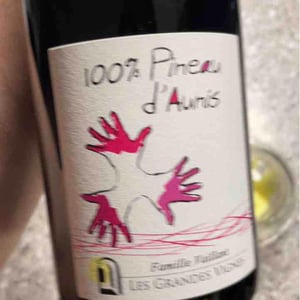 Les Grandes Vignes - Laurence, Dominique & Jean-François Vaillant - 100% Pineau d'Aunis