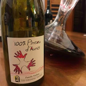 Les Grandes Vignes - Laurence, Dominique & Jean-François Vaillant - 100% Pineau d'Aunis