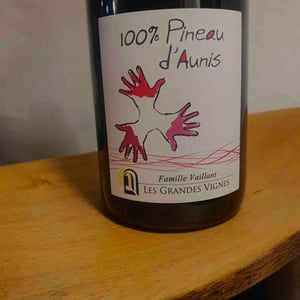 100% Pineau d'Aunis - Les Grandes Vignes - laurence-dominique-jean-francois-vaillant
