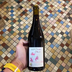 100% Pineau d'Aunis - Les Grandes Vignes - laurence-dominique-jean-francois-vaillant