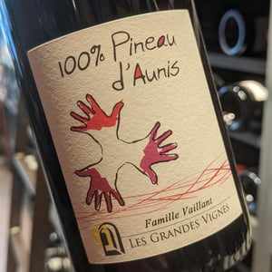 100% Pineau d'Aunis - Les Grandes Vignes - Laurence, Dominique & Jean-François Vaillant 