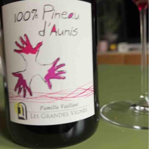 Les Grandes Vignes - Laurence, Dominique & Jean-François Vaillant - 100% Pineau d'Aunis
