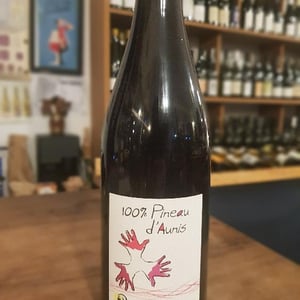 100% Pineau d'Aunis - Les Grandes Vignes - laurence-dominique-jean-francois-vaillant