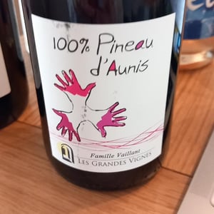 Les Grandes Vignes - Laurence, Dominique & Jean-François Vaillant - 100% Pineau d'Aunis