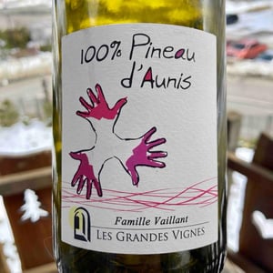 Les Grandes Vignes - Laurence, Dominique & Jean-François Vaillant - 100% Pineau d'Aunis