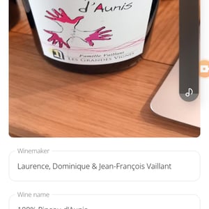 100% Pineau d'Aunis - Les Grandes Vignes - Laurence, Dominique & Jean-François Vaillant 