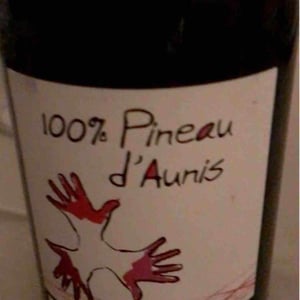 Les Grandes Vignes - Laurence, Dominique & Jean-François Vaillant - 100% Pineau d'Aunis