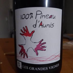 Les Grandes Vignes - Laurence, Dominique & Jean-François Vaillant - 100% Pineau d'Aunis