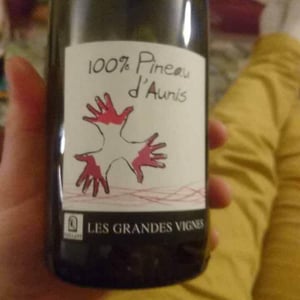Les Grandes Vignes - Laurence, Dominique & Jean-François Vaillant - 100% Pineau d'Aunis