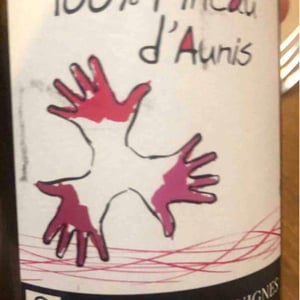 Les Grandes Vignes - Laurence, Dominique & Jean-François Vaillant - 100% Pineau d'Aunis