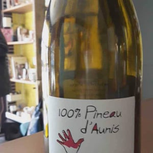 Les Grandes Vignes - Laurence, Dominique & Jean-François Vaillant - 100% Pineau d'Aunis