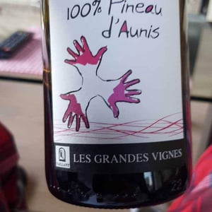 Les Grandes Vignes - Laurence, Dominique & Jean-François Vaillant - 100% Pineau d'Aunis