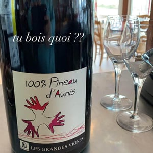 100% Pineau d'Aunis - Les Grandes Vignes - laurence-dominique-jean-francois-vaillant