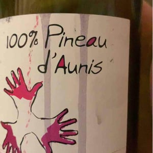 Les Grandes Vignes - Laurence, Dominique & Jean-François Vaillant - 100% Pineau d'Aunis