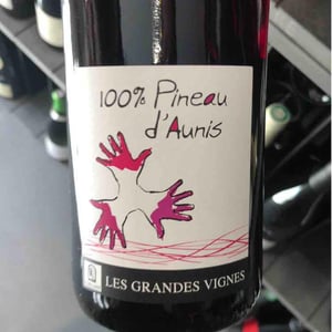 100% Pineau d'Aunis - Les Grandes Vignes - laurence-dominique-jean-francois-vaillant