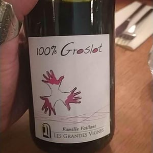 Les Grandes Vignes - Laurence, Dominique & Jean-François Vaillant - 100% Pineau d'Aunis