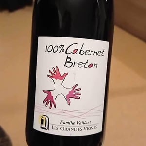 Les Grandes Vignes - Laurence, Dominique & Jean-François Vaillant - 100% Pineau d'Aunis