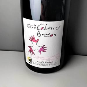 100% Pineau d'Aunis - Les Grandes Vignes - laurence-dominique-jean-francois-vaillant