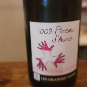 Les Grandes Vignes - Laurence, Dominique & Jean-François Vaillant - 100% Pineau d'Aunis