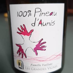 Les Grandes Vignes - Laurence, Dominique & Jean-François Vaillant - 100% Pineau d'Aunis