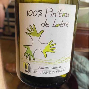 Les Grandes Vignes - Laurence, Dominique & Jean-François Vaillant - 100% Pineau d'Aunis