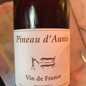 Les Grandes Vignes - Laurence, Dominique & Jean-François Vaillant - 100% Pineau d'Aunis