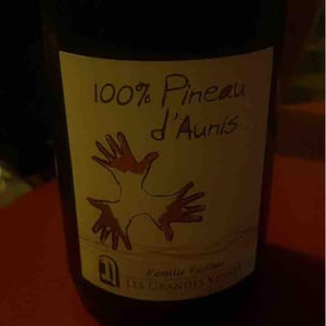 Les Grandes Vignes - Laurence, Dominique & Jean-François Vaillant - 100% Pineau d'Aunis