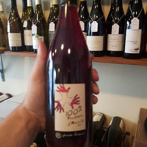 100% Pineau d'Aunis - Les Grandes Vignes - Laurence, Dominique & Jean-François Vaillant 