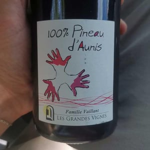 Les Grandes Vignes - Laurence, Dominique & Jean-François Vaillant - 100% Pineau d'Aunis