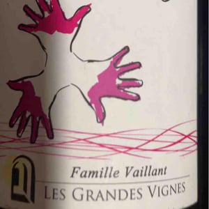 100% Pineau d'Aunis - Les Grandes Vignes - laurence-dominique-jean-francois-vaillant