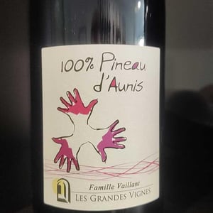 100% Pineau d'Aunis - Les Grandes Vignes - Laurence, Dominique & Jean-François Vaillant 