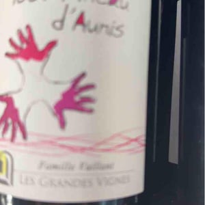 100% Pineau d'Aunis - Les Grandes Vignes - laurence-dominique-jean-francois-vaillant