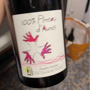Les Grandes Vignes - Laurence, Dominique & Jean-François Vaillant - 100% Pineau d'Aunis