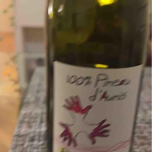 Les Grandes Vignes - Laurence, Dominique & Jean-François Vaillant - 100% Pineau d'Aunis