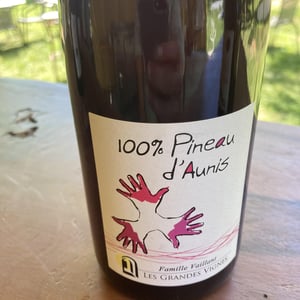 100% Pineau d'Aunis - Les Grandes Vignes - laurence-dominique-jean-francois-vaillant