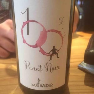 Louis Maurer - Louis Maurer - 100% Pinot Noir