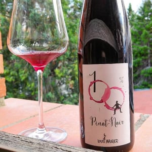 Pinot Noir 2017