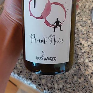 100% Pinot Noir - Louis Maurer - louis-maurer