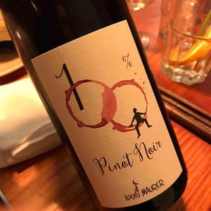 Louis Maurer - Louis Maurer - 100% Pinot Noir