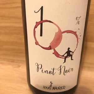 100% Pinot Noir - Louis Maurer - Louis Maurer 