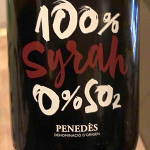 100% Syrah 0% So2 - Castell D’Age - castell-dage