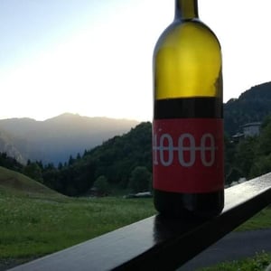 1000cm3 Vino Rosso - Ansitz Dornach - Patrick & Karoline Uccelli 