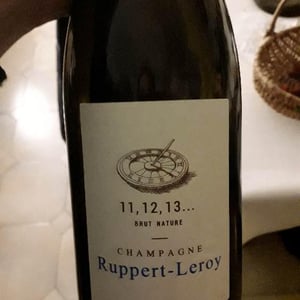 11, 12, 13 - Champagne Ruppert-Leroy - emmanuel-ruppert-benedicte-leroy