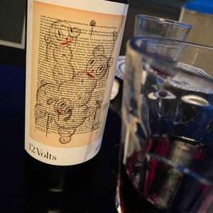 12 volts - Cuatro Kilos Vinicola - 4 Kilos Vinícola 