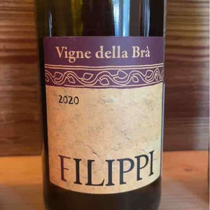 Vigne Delle Bra - Visco & Filippi Azienda Agricola - filippo-filippi