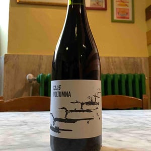 12.15 - Voltumna - marzio-politi