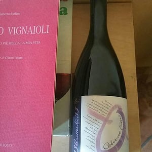 13 Quattordici 15