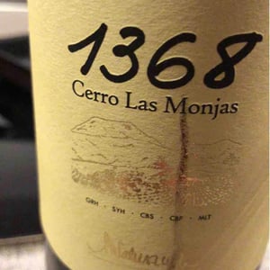 1368 Cerro Las Monjas - Barranco Oscuro - manuel-lorenzo-valenzuela