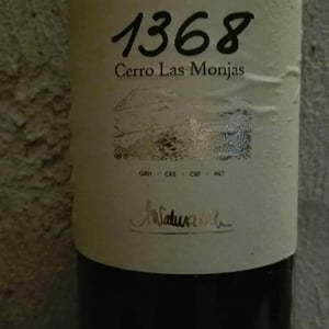 Barranco Oscuro - Manuel & Lorenzo Valenzuela - 1368 Cerro Las Monjas